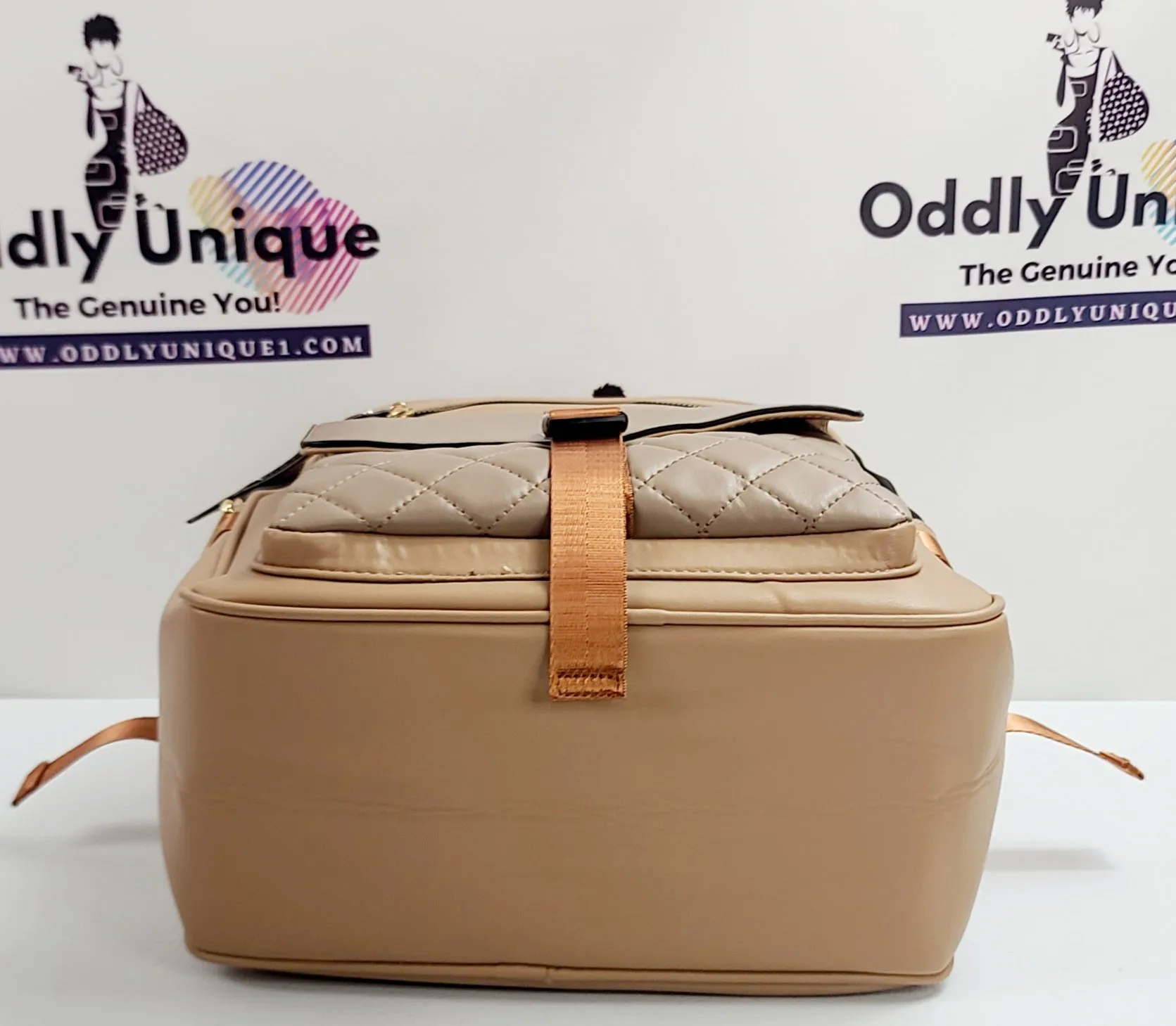 Snap Clip Two Tone Backpacks